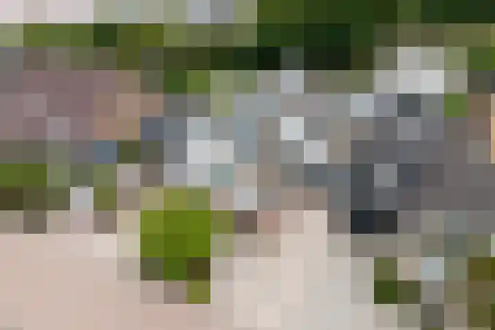 Houtmolen 15 Makkum thumbnail 39