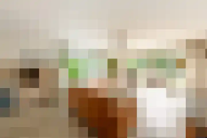Houtmolen 15 Makkum thumbnail 4