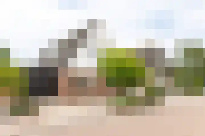 Houtmolen 15 Makkum thumbnail 5