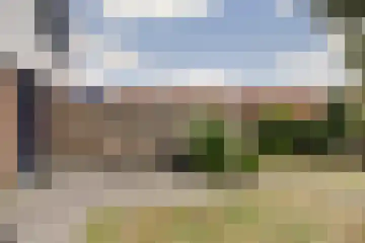 Houtmolen 24 Makkum thumbnail 23
