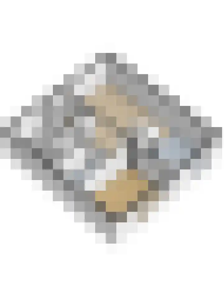 Houtmolen 24 Makkum thumbnail 32