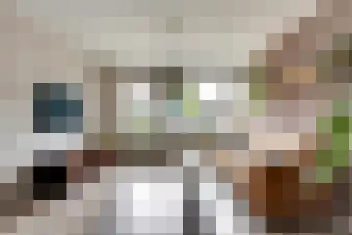 Houtmolen 24 Makkum thumbnail 8