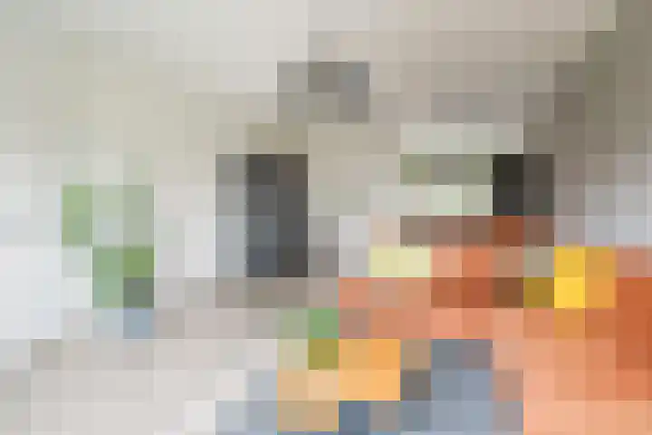 Houtmolenstraat 10 Varsseveld thumbnail 12