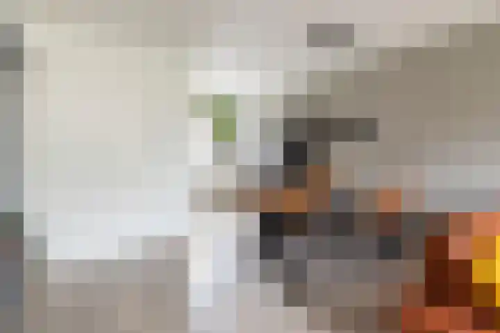 Houtmolenstraat 10 Varsseveld thumbnail 14