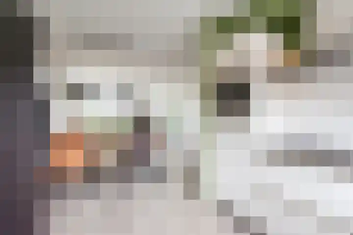 Houtmolenstraat 10 Varsseveld thumbnail 16