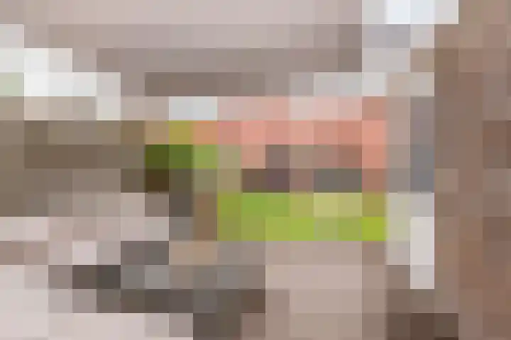 Houtmolenstraat 10 Varsseveld thumbnail 36
