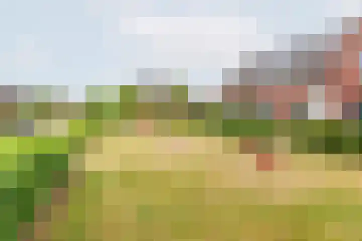 Houtmolenstraat 10 Varsseveld thumbnail 45