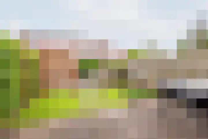 Houtmolenstraat 10 Varsseveld thumbnail 5