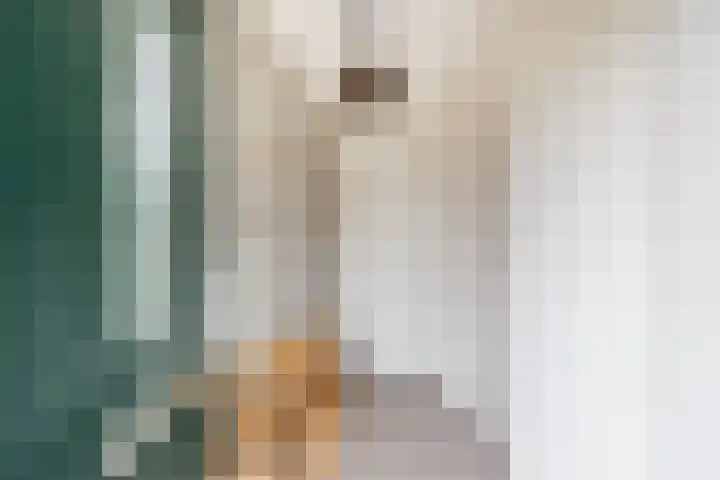 Houtmolenstraat 10 Varsseveld thumbnail 8