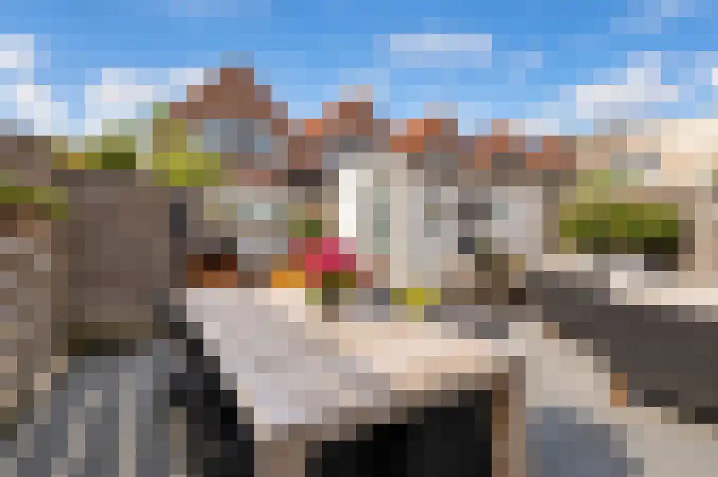 Houtmolenstraat 20 Culemborg thumbnail 22