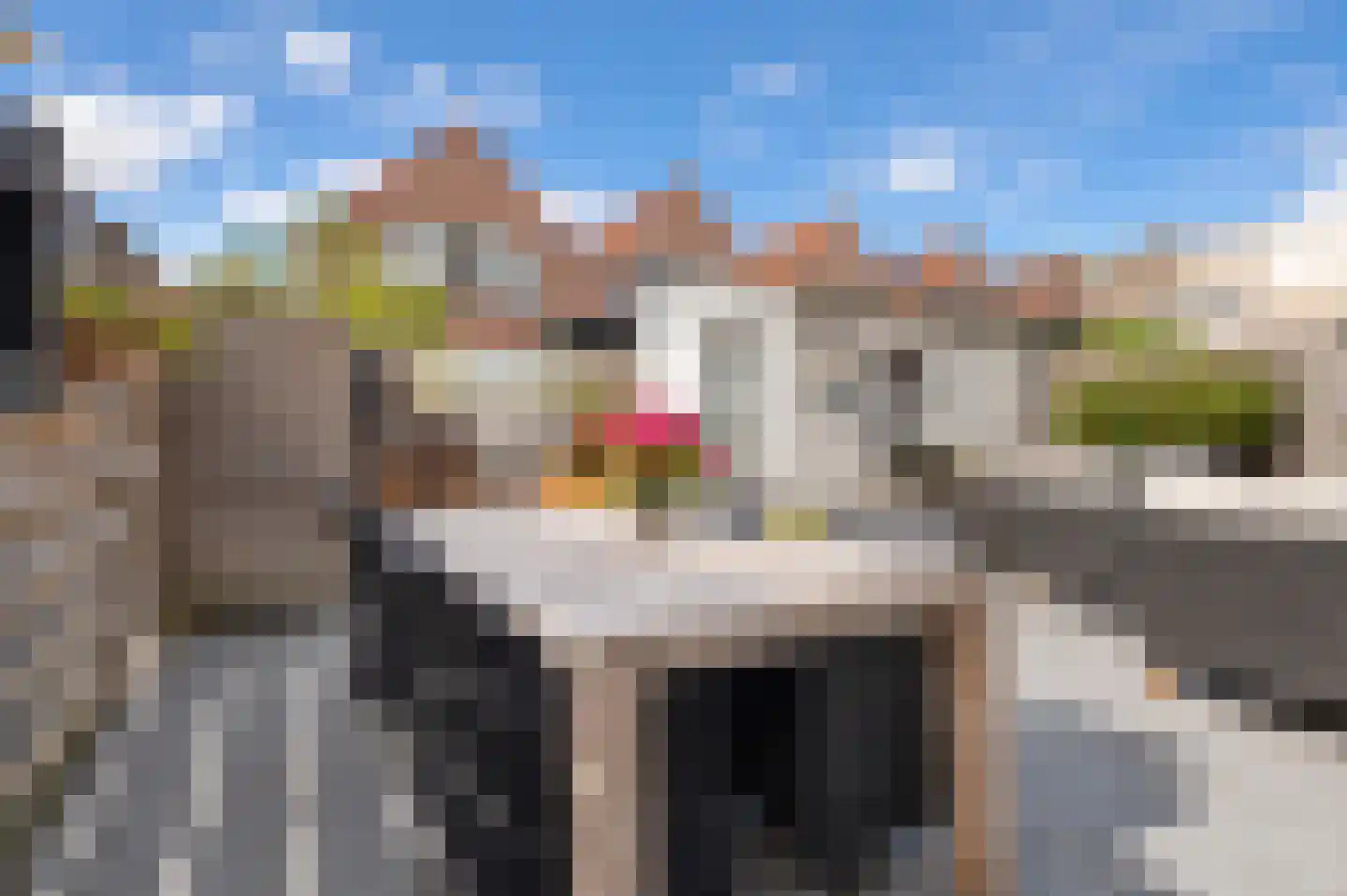 Houtmolenstraat 20 Culemborg thumbnail 24