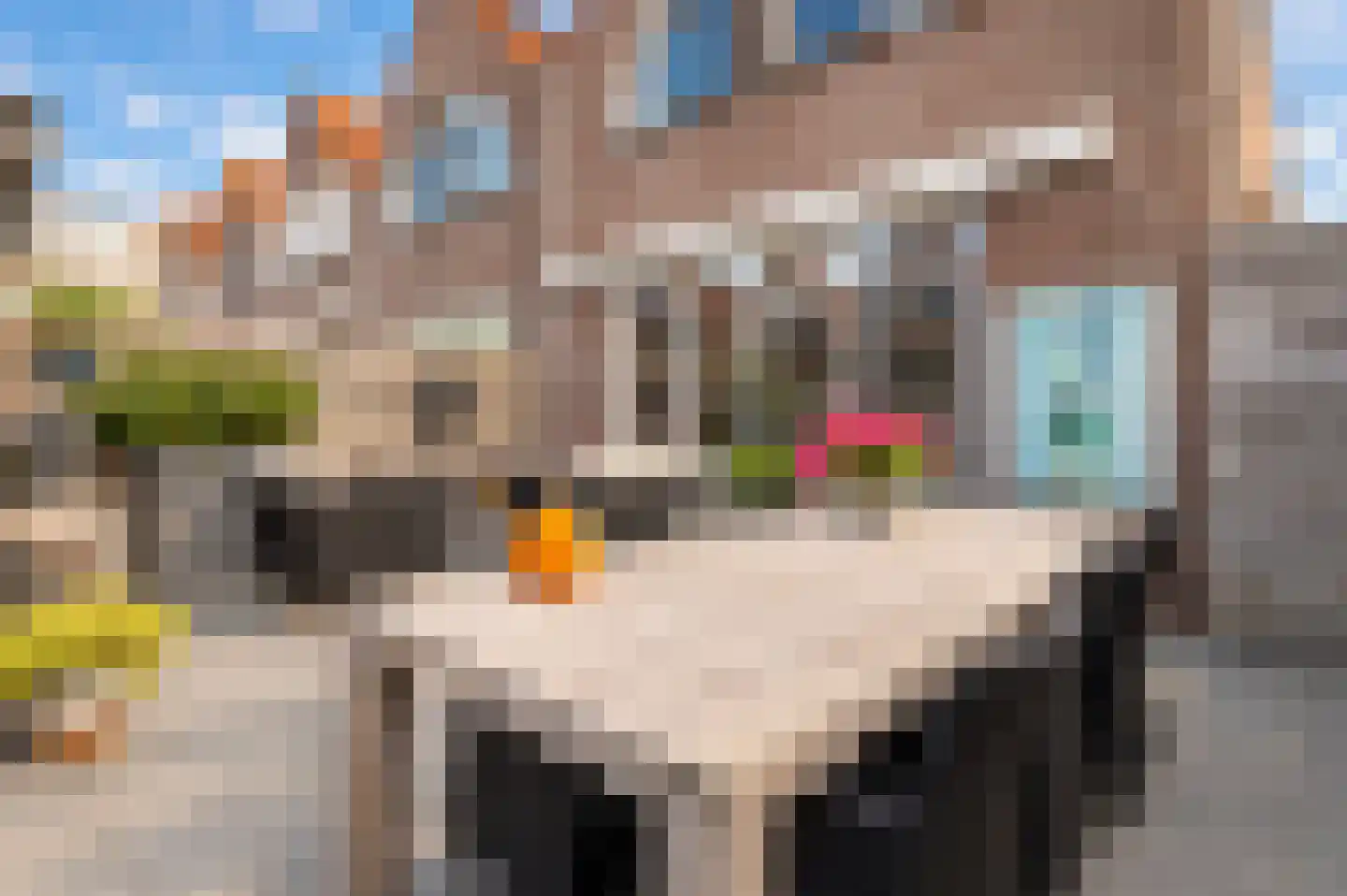 Houtmolenstraat 20 Culemborg thumbnail 27