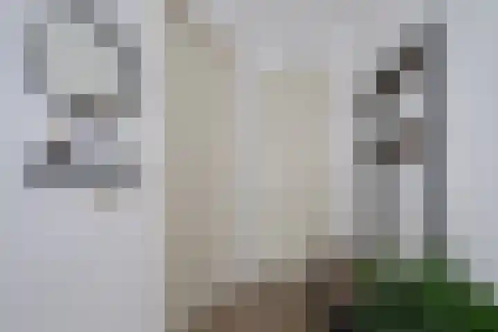 Houtmolenstraat 6 Varsseveld thumbnail 11