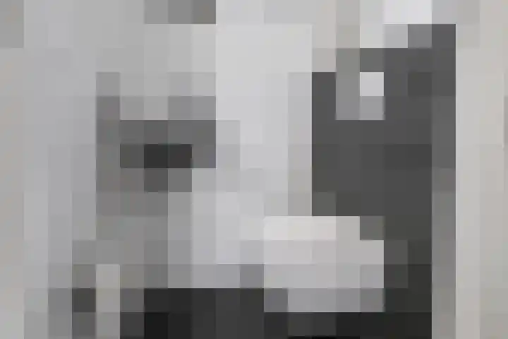 Houtmolenstraat 6 Varsseveld thumbnail 12