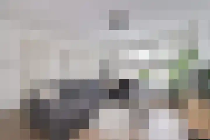 Houtmolenstraat 6 Varsseveld thumbnail 14