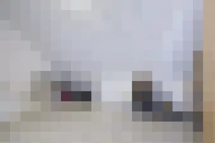 Houtmolenstraat 6 Varsseveld thumbnail 36