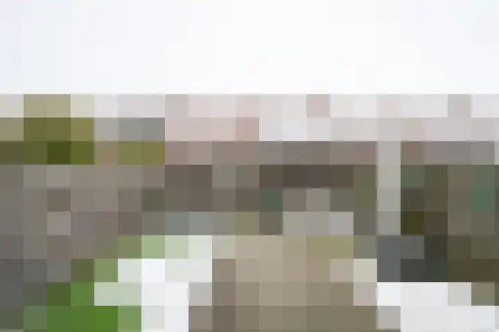 Houtmolenstraat 6 Varsseveld thumbnail 39