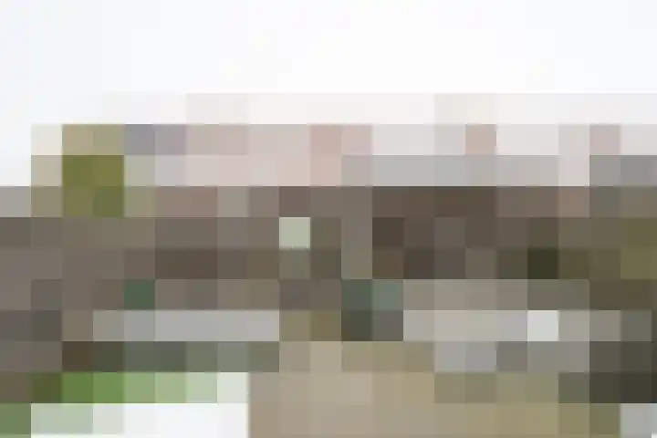 Houtmolenstraat 6 Varsseveld thumbnail 40