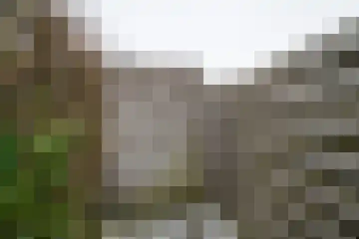Houtmolenstraat 6 Varsseveld thumbnail 42