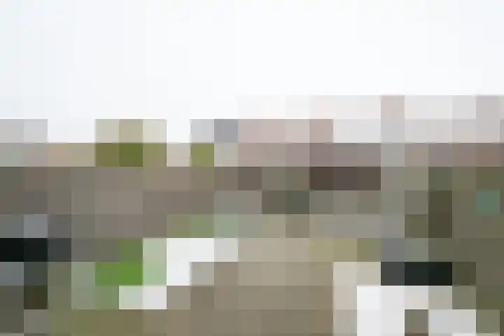 Houtmolenstraat 6 Varsseveld thumbnail 5