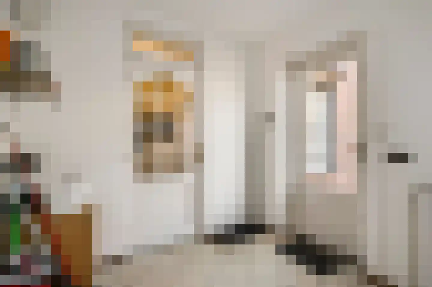 Houtmortelsstraat 23 Thorn thumbnail 22
