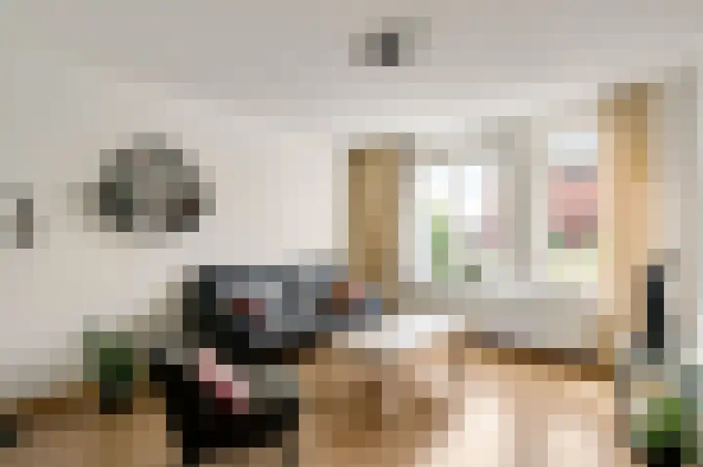 Houtmortelsstraat 23 Thorn thumbnail 9