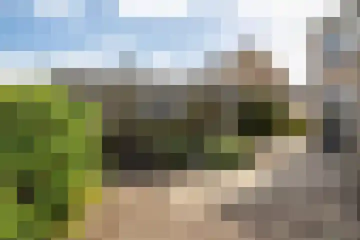 Houtmoune 13 Gorredijk thumbnail 17