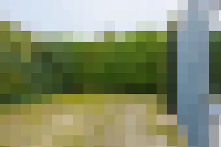 Houtmoune 16 Gorredijk thumbnail 11