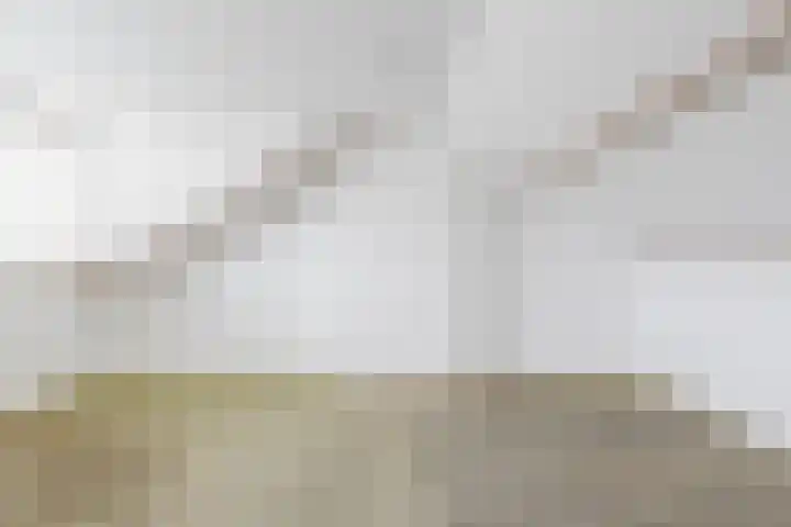 Houtmoune 16 Gorredijk thumbnail 41