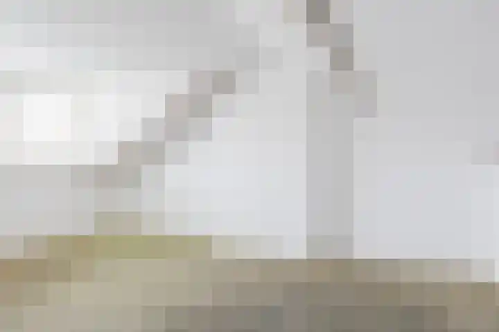 Houtmoune 16 Gorredijk thumbnail 42