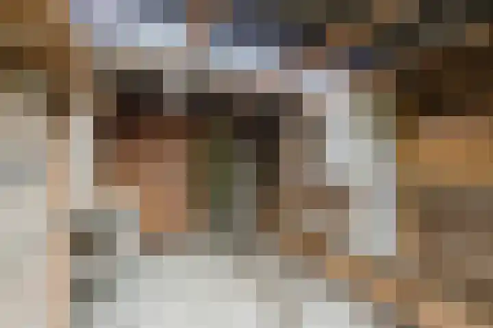 Houtmoune 16 Gorredijk thumbnail 45