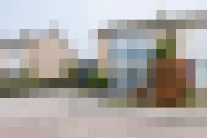 Houtmoune 16 Gorredijk thumbnail 8