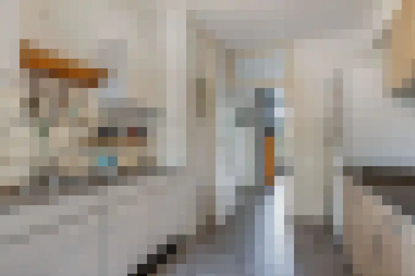 Houtmoune 25 Gorredijk thumbnail 14