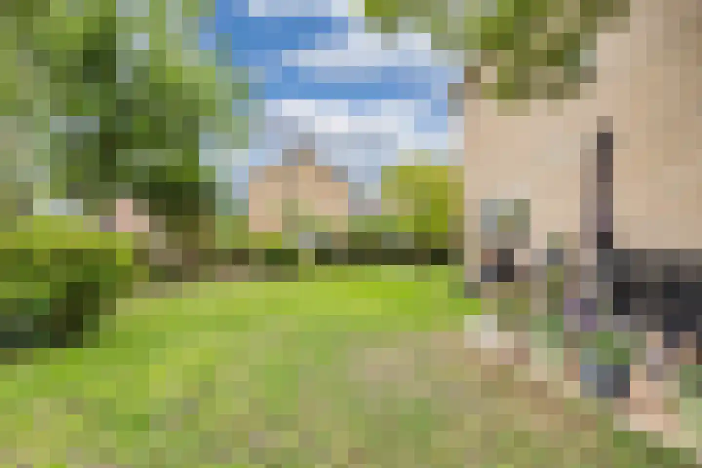 Houtmoune 25 Gorredijk thumbnail 27