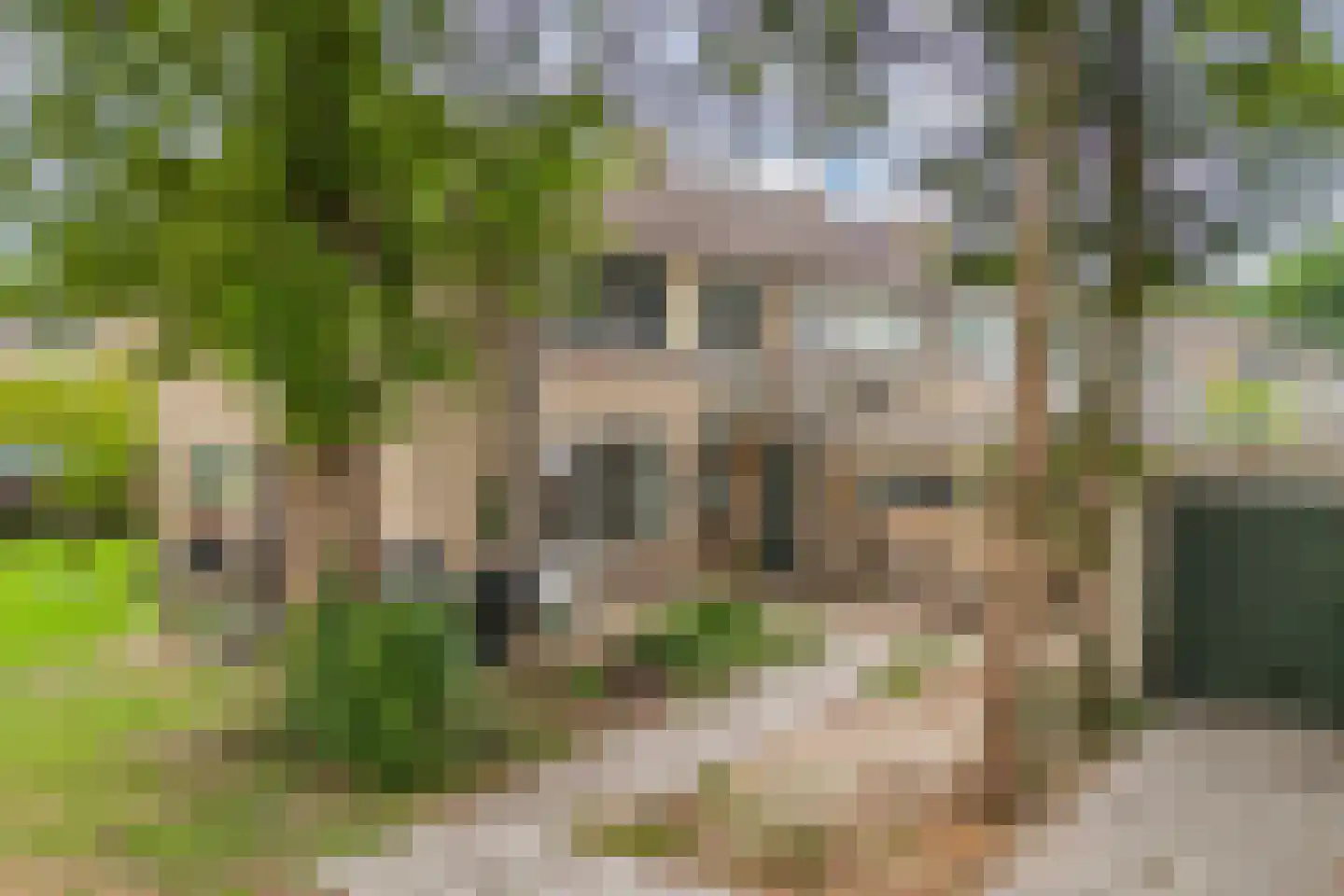 Houtmoune 25 Gorredijk thumbnail 37