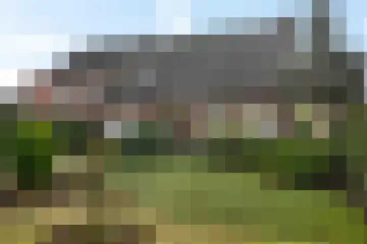 Houtpad 6 Schijndel
