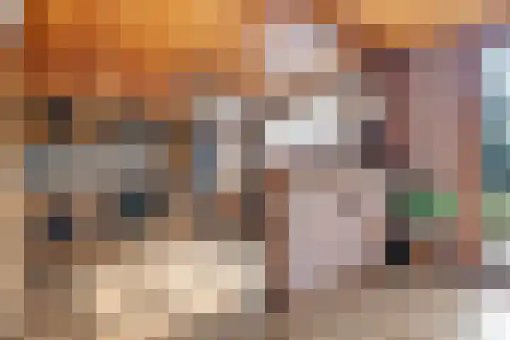 Houtpad 6 Schijndel thumbnail 10
