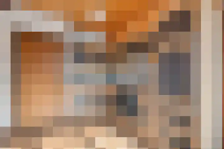 Houtpad 6 Schijndel thumbnail 11