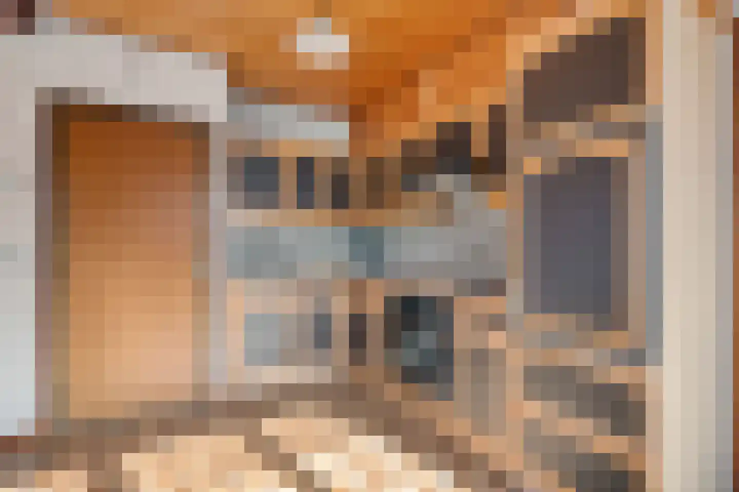 Houtpad 6 Schijndel thumbnail 11