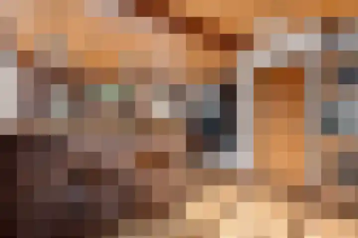 Houtpad 6 Schijndel thumbnail 12