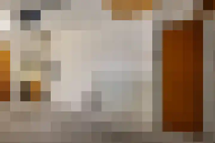 Houtpad 6 Schijndel thumbnail 16