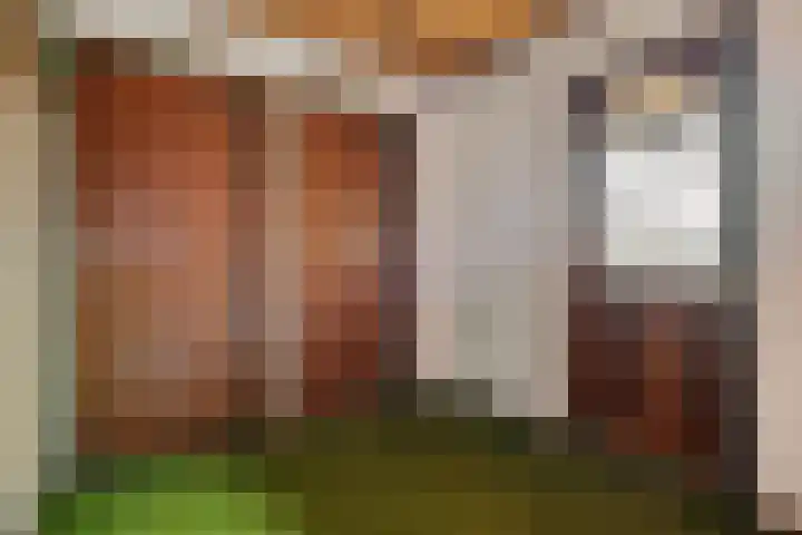Houtpad 6 Schijndel thumbnail 18