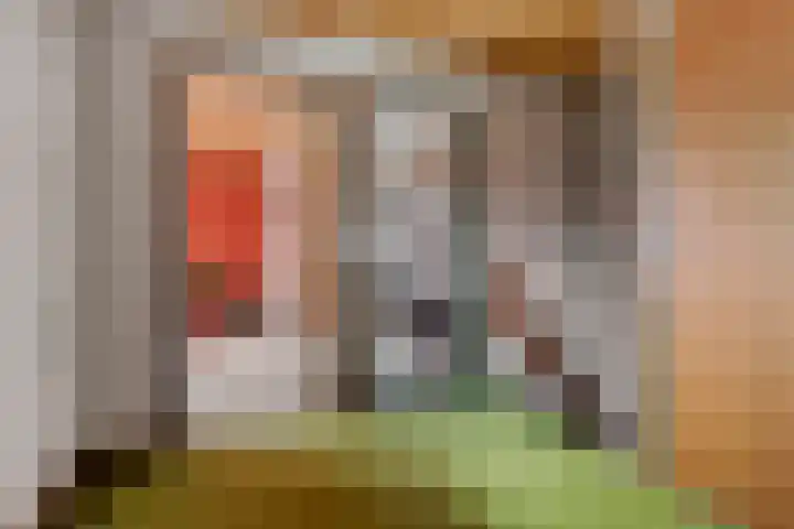 Houtpad 6 Schijndel thumbnail 19