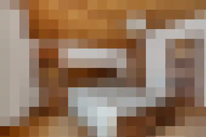Houtpad 6 Schijndel thumbnail 21