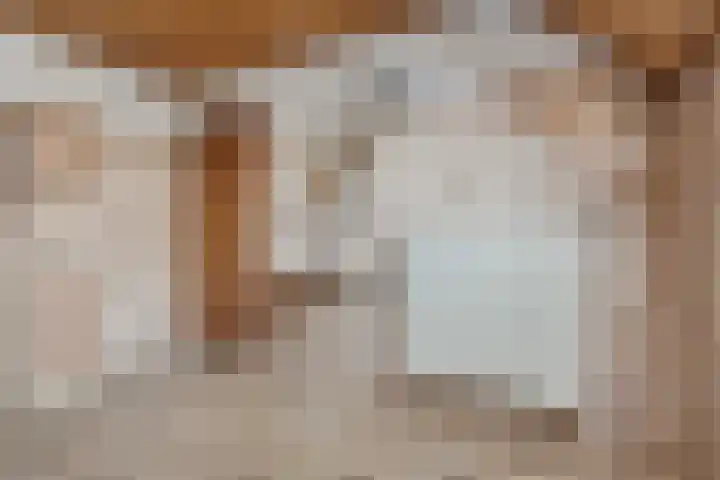 Houtpad 6 Schijndel thumbnail 27