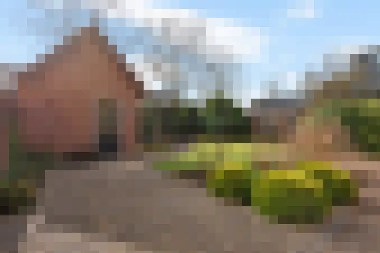 Houtpad 6 Schijndel thumbnail 32