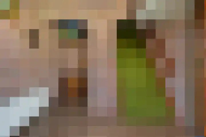 Houtpad 6 Schijndel thumbnail 5