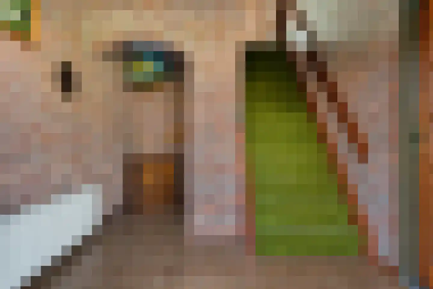 Houtpad 6 Schijndel thumbnail 5