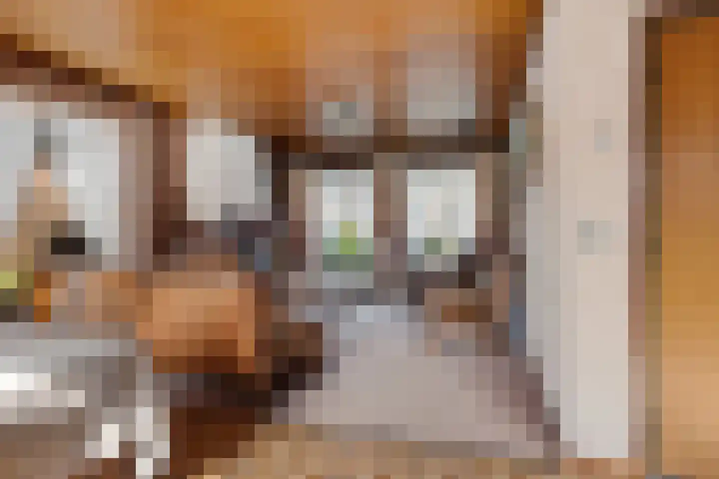 Houtpad 6 Schijndel thumbnail 6