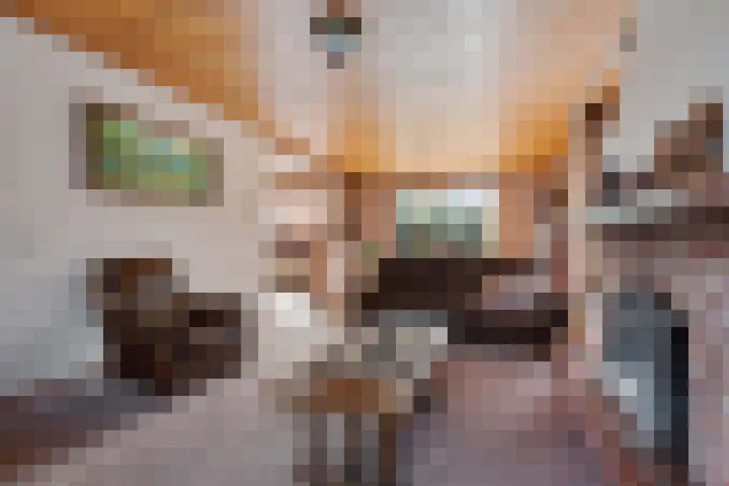 Houtpad 6 Schijndel thumbnail 7
